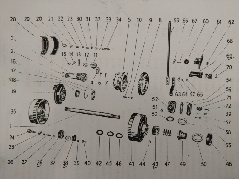 IMG_20250325_1318341