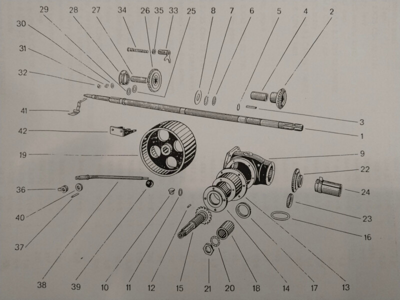 IMG_20250325_1328531