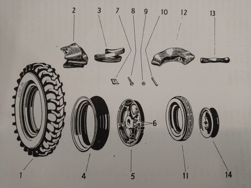 IMG_20250325_1329351