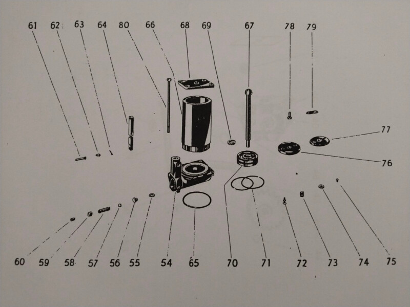 IMG_20250402_1833561