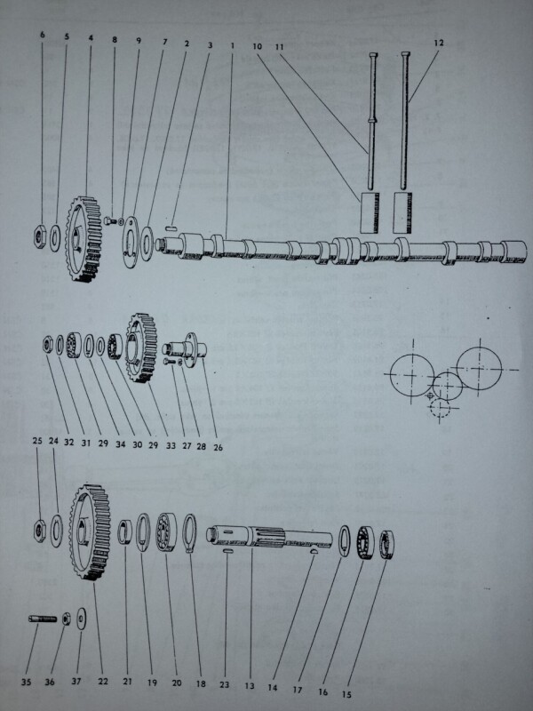 IMG_20250929_1132261