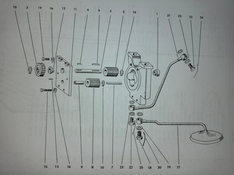 IMG_20251006_1052191