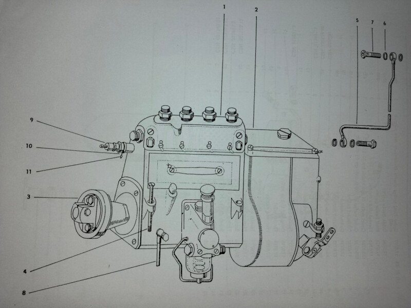 IMG_20251006_1052591