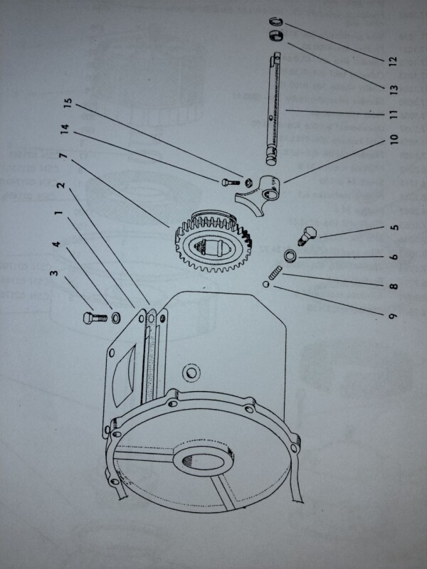 IMG_20251006_1053571