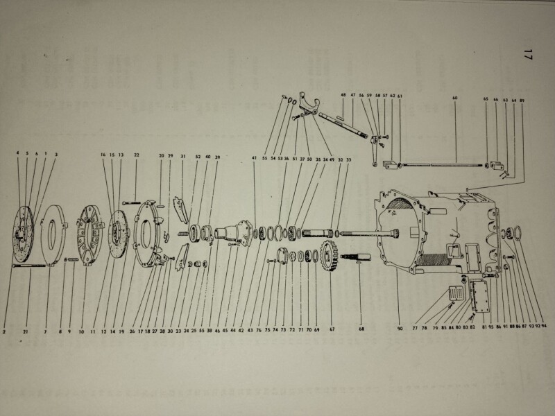 IMG_20251006_1201341