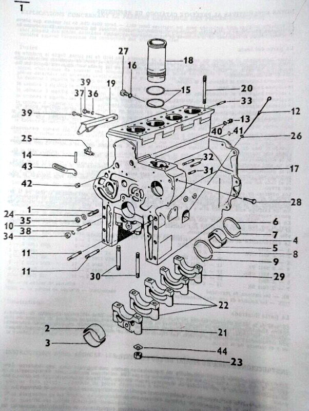 IMG_20251104_090327197_AE
