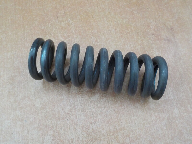 Pružina svislého čepu Z3011