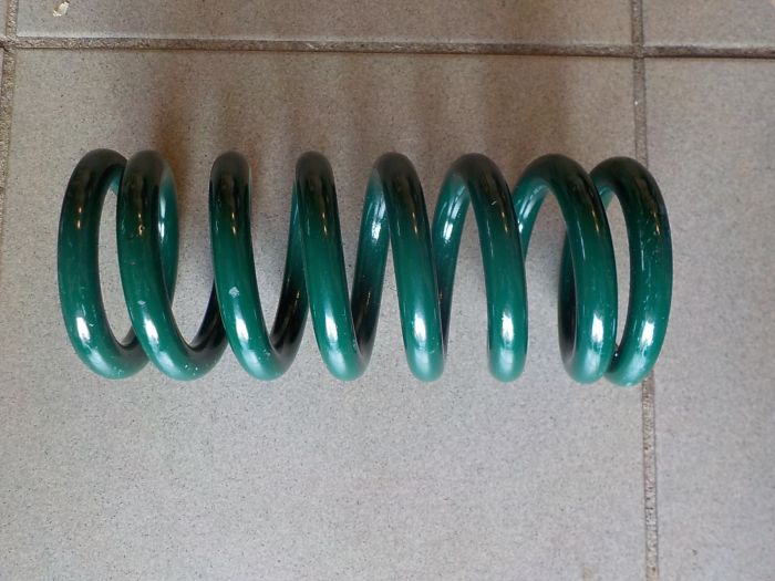 Pružina svislého čepu 