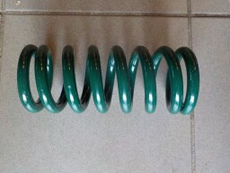 Pružina svislého čepu 