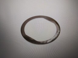 Třecí kroužek 
